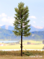 morepic-1