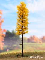 morepic-1