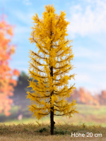 morepic-1