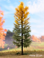 morepic-1
