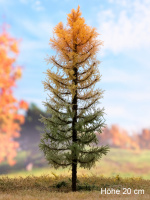 morepic-1