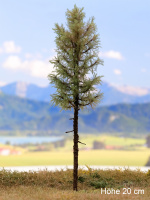 morepic-1