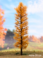 morepic-1