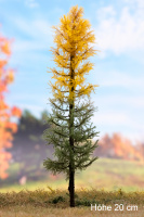 morepic-1