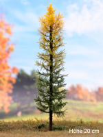 morepic-1