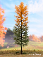 morepic-1