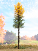 morepic-1
