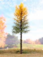 morepic-1