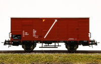 morepic-1
