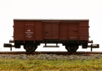 morepic-1
