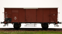 morepic-1