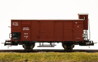 morepic-1