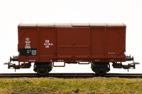 morepic-1
