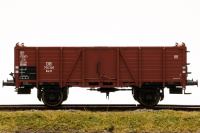 morepic-1