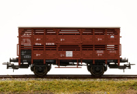 morepic-1