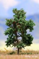 morepic-1