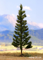 morepic-1