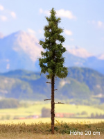 morepic-1