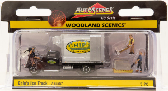 AutoScenes, Woodland Scenics AS5557 (1:87) – Chips Ice Truck 