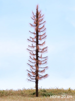 morepic-10