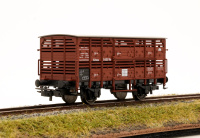 morepic-2