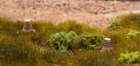 morepic-3