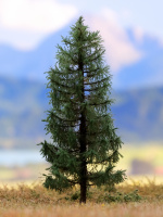 morepic-6
