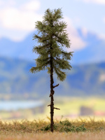 morepic-7