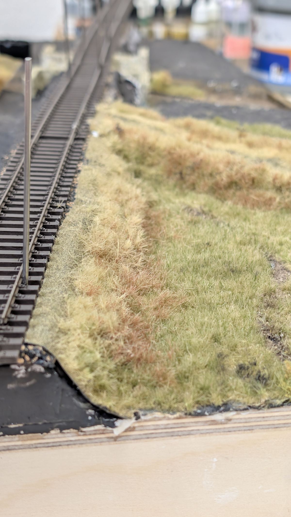 Geschotterter Oberbau aus flacher Perspektive, daneben eine Grasfl&auml;che mit unregelm&auml;&szlig;igem Rand